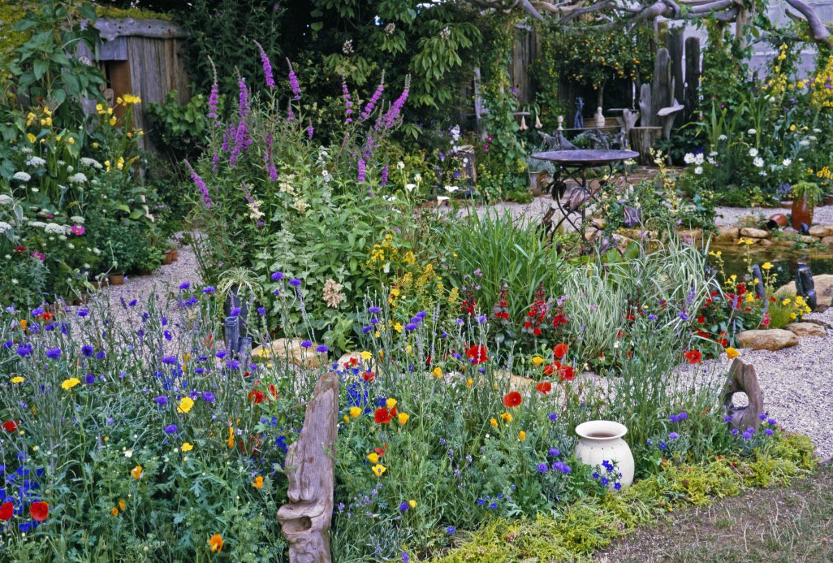 A cottage garden with a stone-lined path