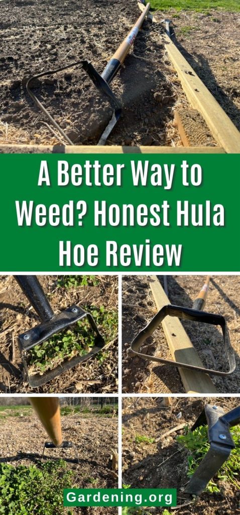 A Better Way to Weed? Honest Hula Hoe Review pinterest image.