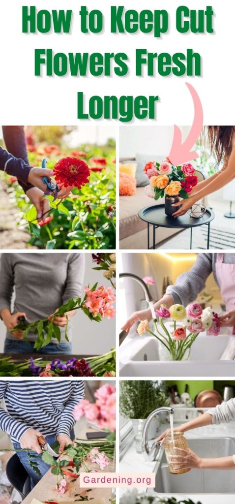 How to Keep Cut Flowers Fresh Longer pinterest image.