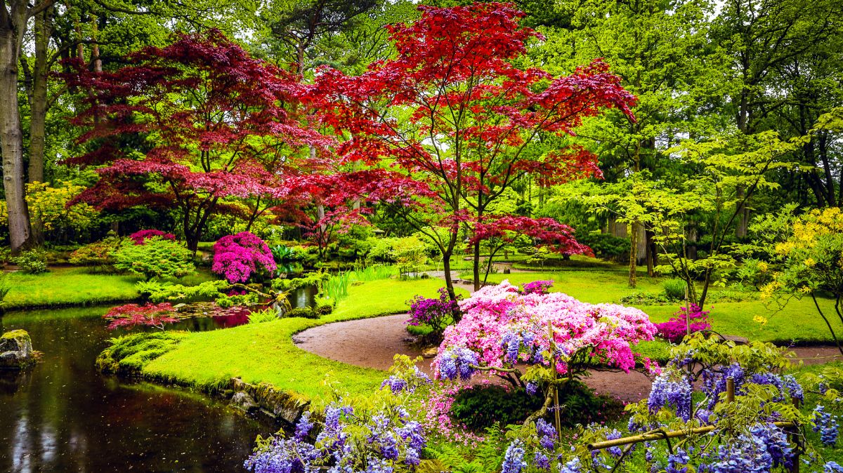 A subtle, clean Japanese style garden
