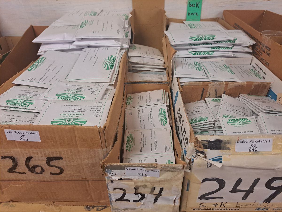 Boxes of packages Fedco seeds ready to be sent out