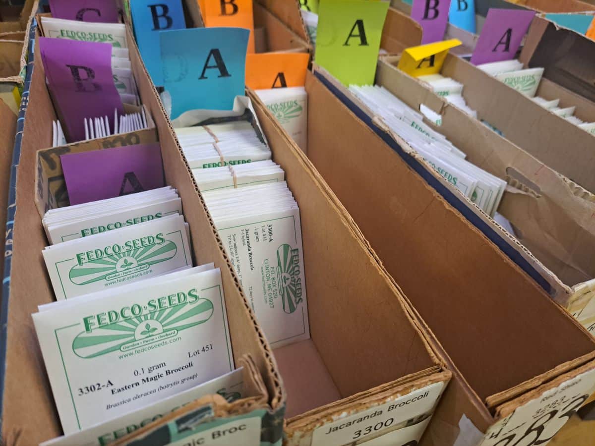 Boxes of seeds stand ready for picking for orders