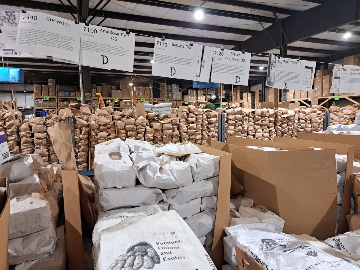 Fedco seed potato warehouse