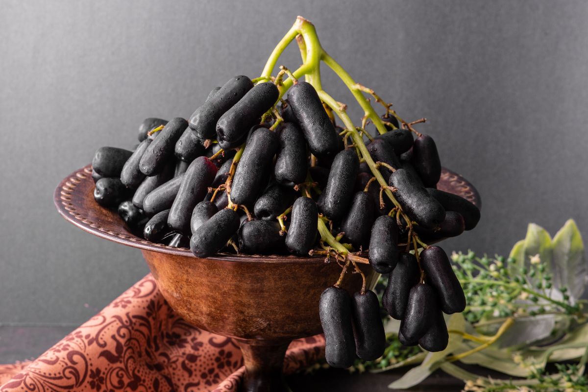 Long dark table grapes in a bowl