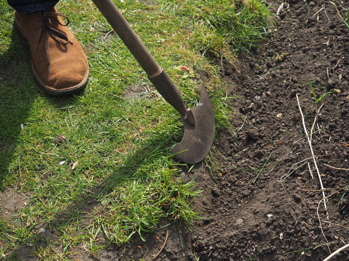 A homeowner edging a garden