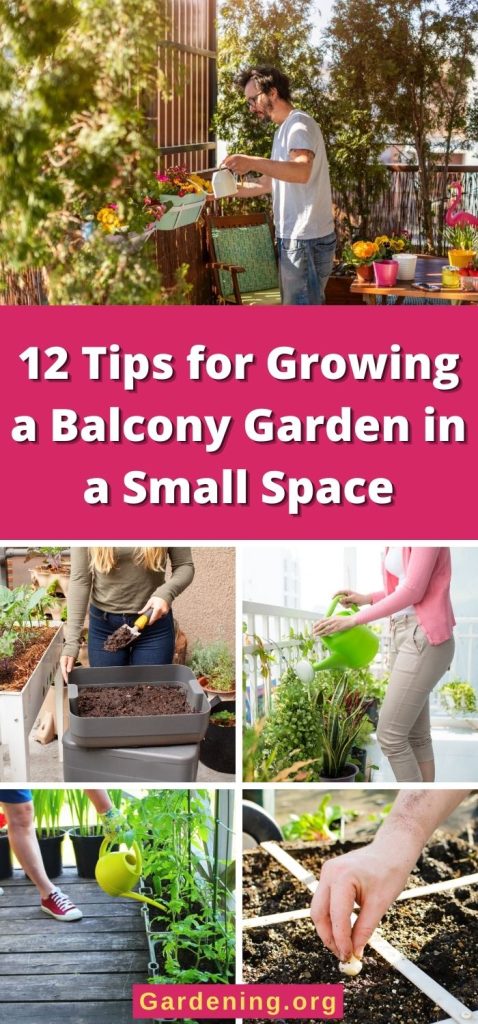 12 Tips for Growing a Balcony Garden in a Small Space pinterest image.