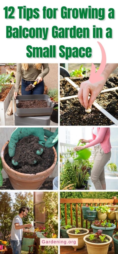 12 Tips for Growing a Balcony Garden in a Small Space pinterest image.