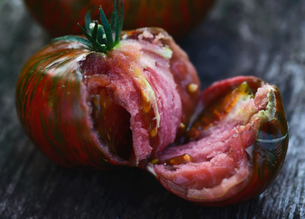 Chocolate stripes tomatoes