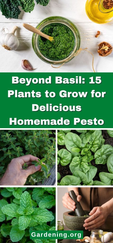 Beyond Basil: 15 Plants to Grow for Delicious Homemade Pesto pinterest image.