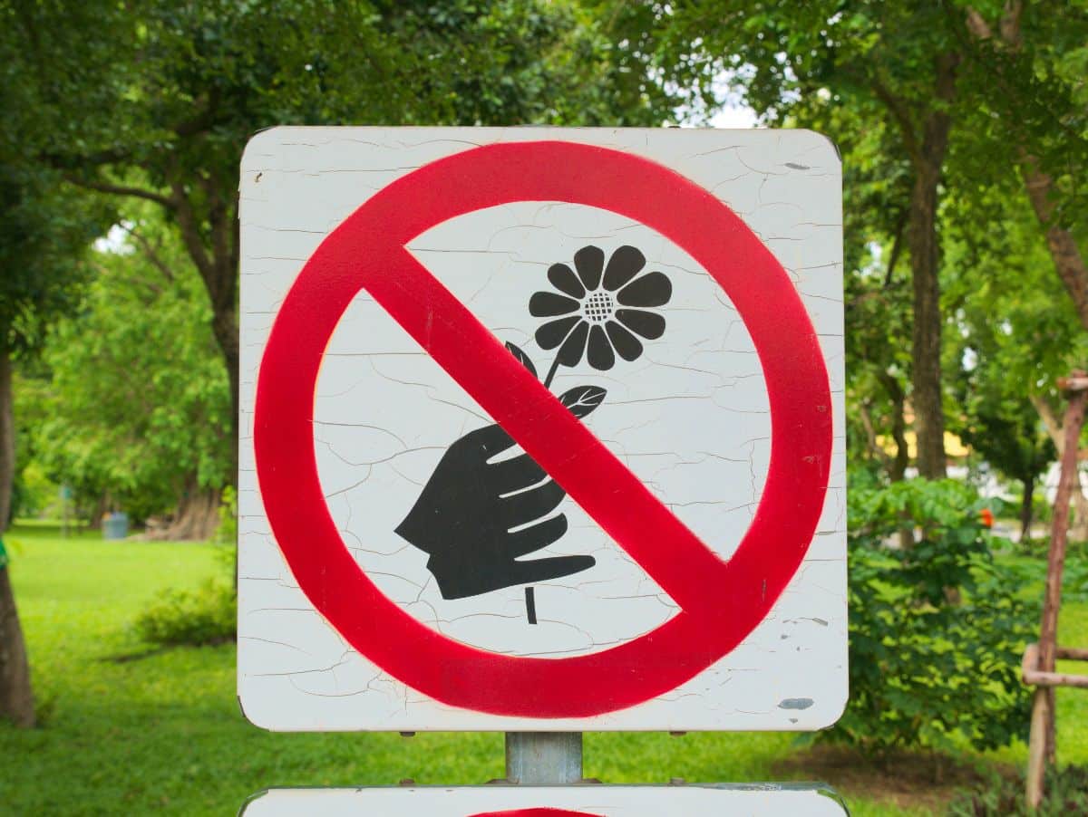 A sign showing planting is not allowed