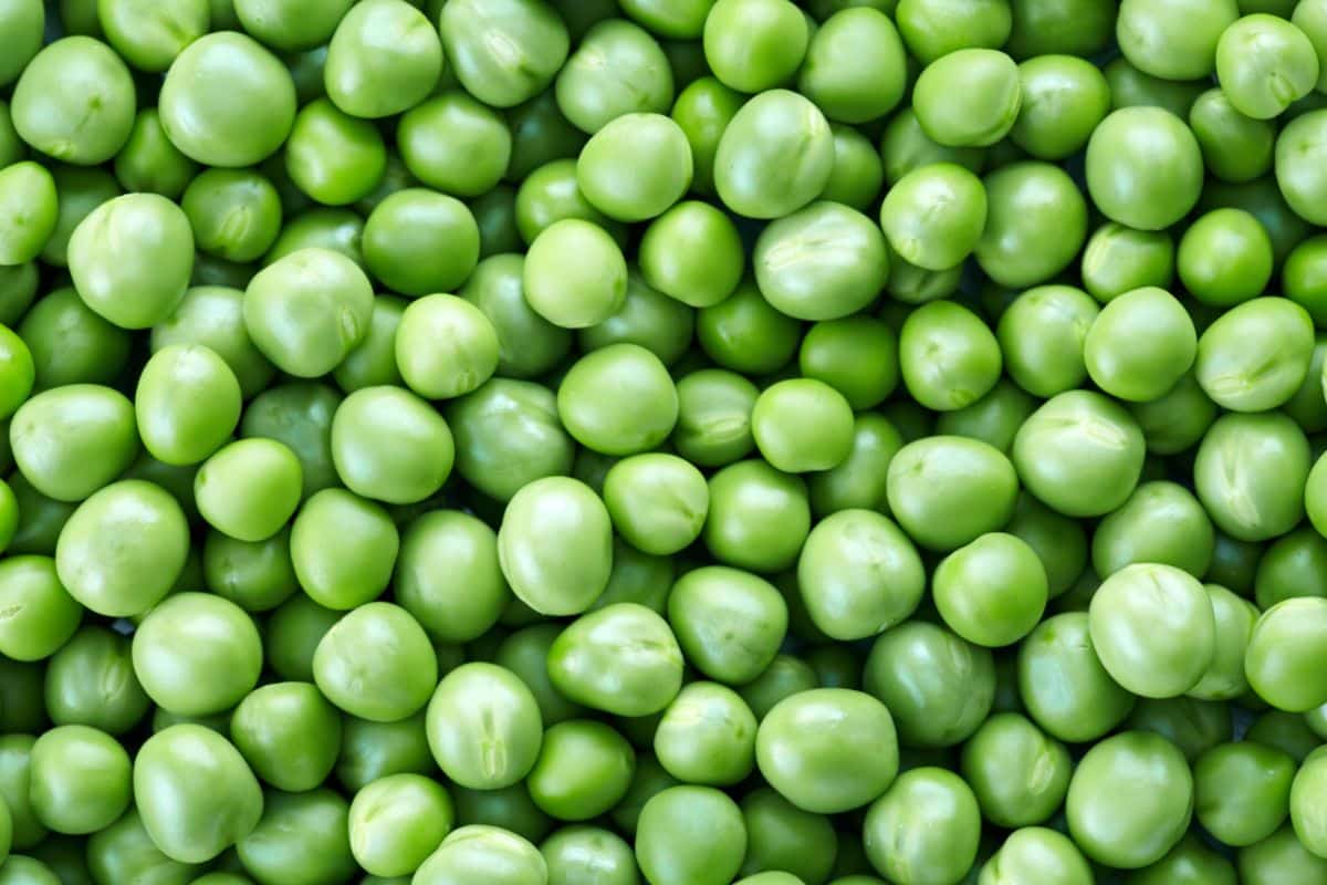 Fresh peas, shelled, in a bowl