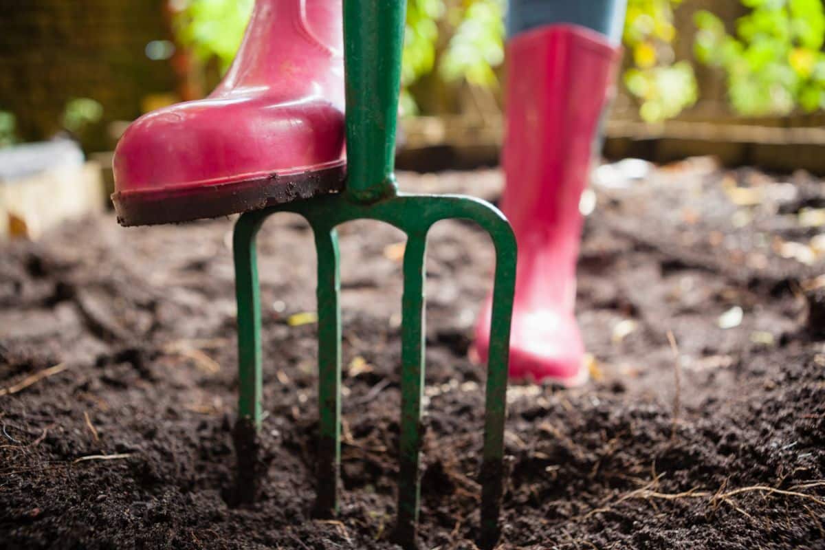 A pitch fork stuck into soil