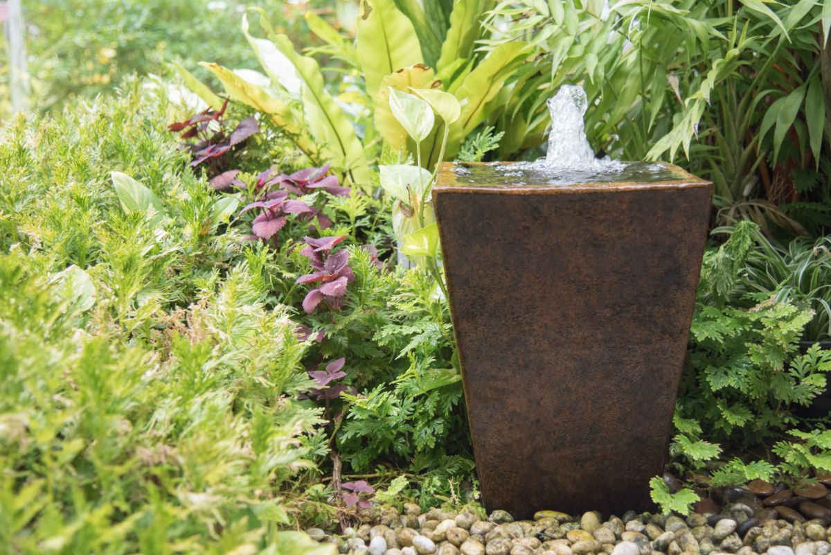 A water feature attracts fireflies