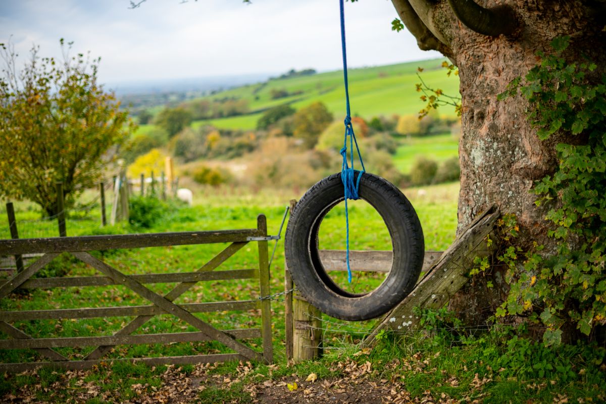 A tire swing made from an old tire