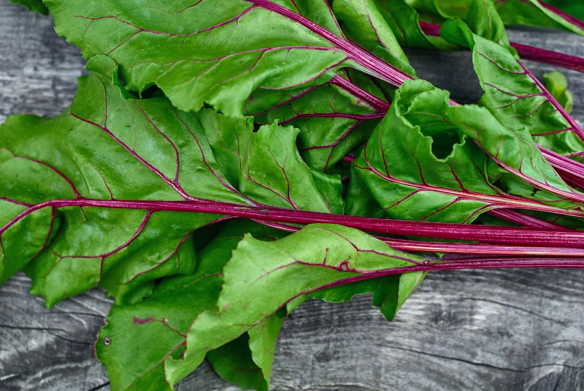 Beet greens being used for beet pesto