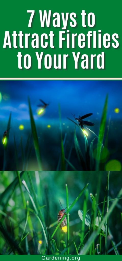 7 Ways to Attract Fireflies to Your Yard pinterest image.