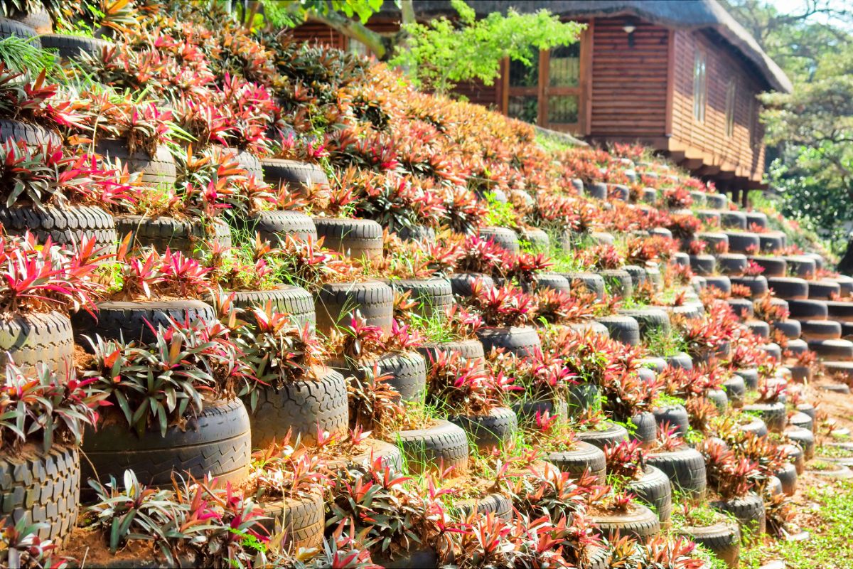 A retaining wall made from old tires, planted with plants