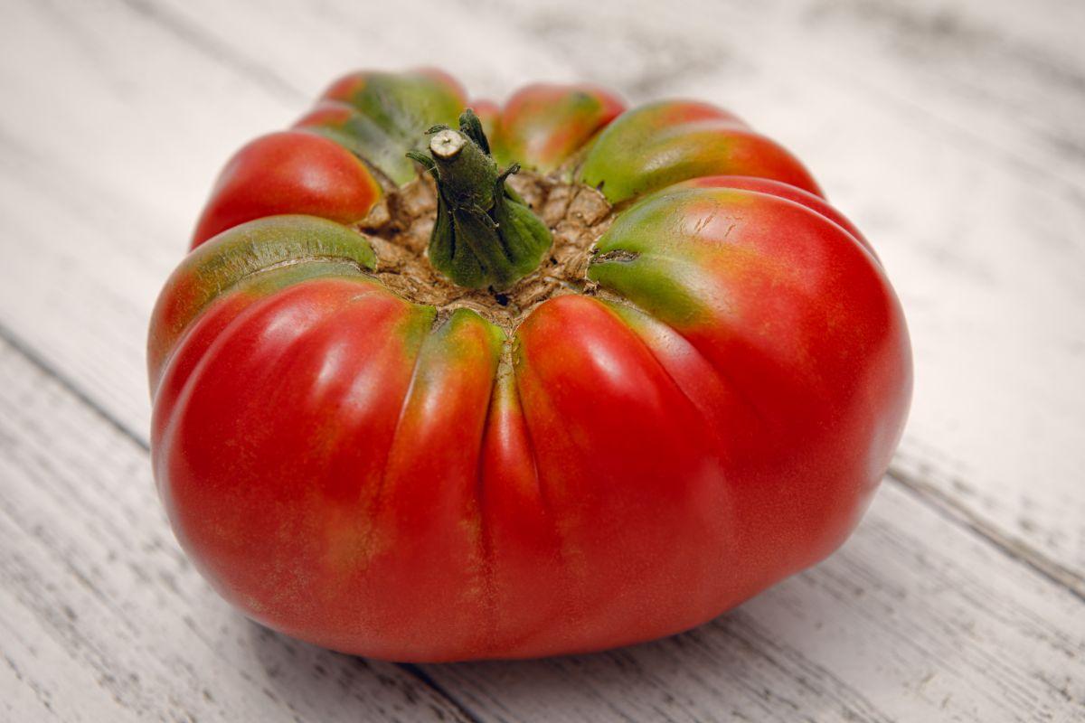 German Johnson tomatoes