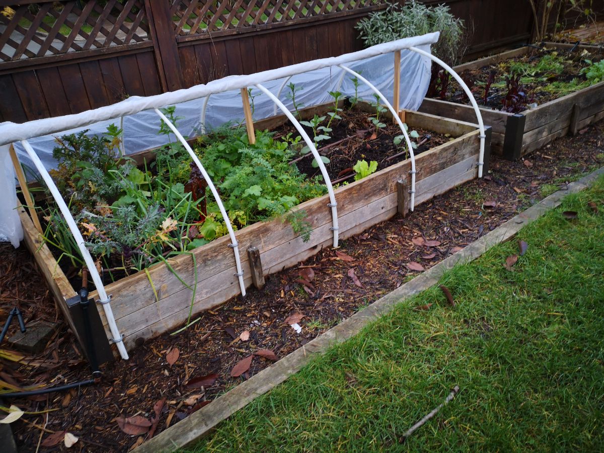 Garden beds using organic methods to reduce harm to fireflies