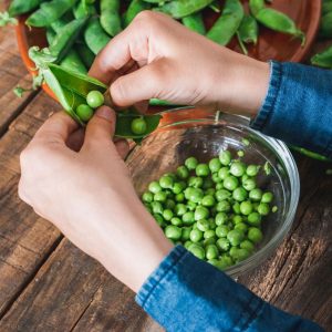 A kid peels green peas.