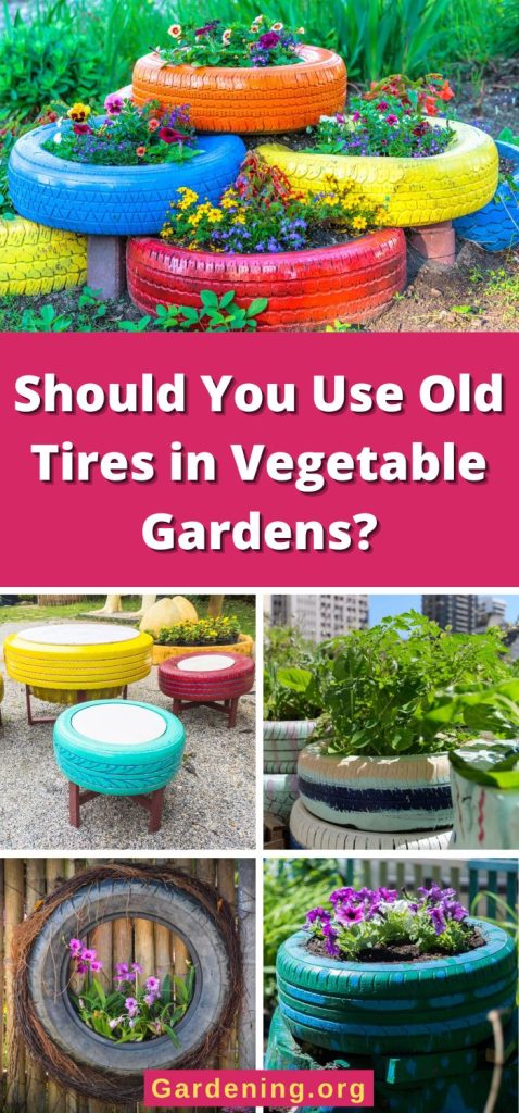 Should You Use Old Tires in Vegetable Gardens? pinterest image.