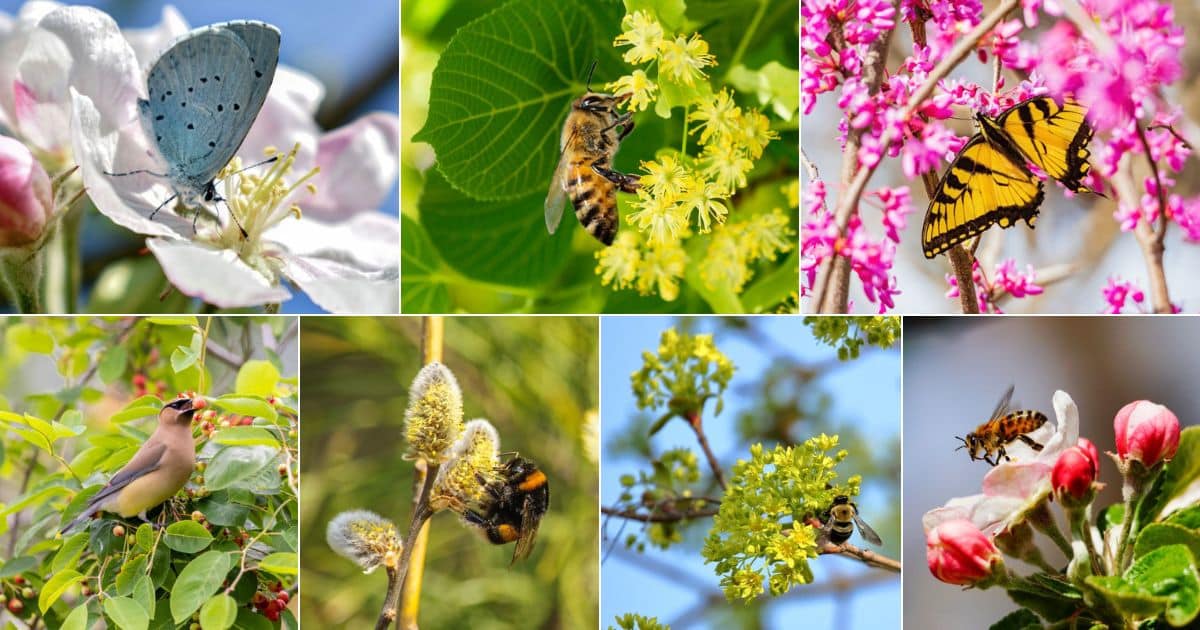15 Best Trees to Grow in a Pollinator Garden - Gardening