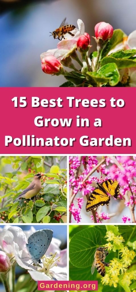 15 Best Trees to Grow in a Pollinator Garden pinterest image.