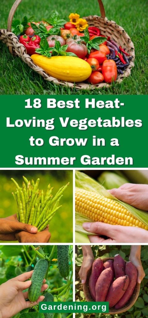 18 Best Heat-Loving Vegetables to Grow in a Summer Garden pinterest image.