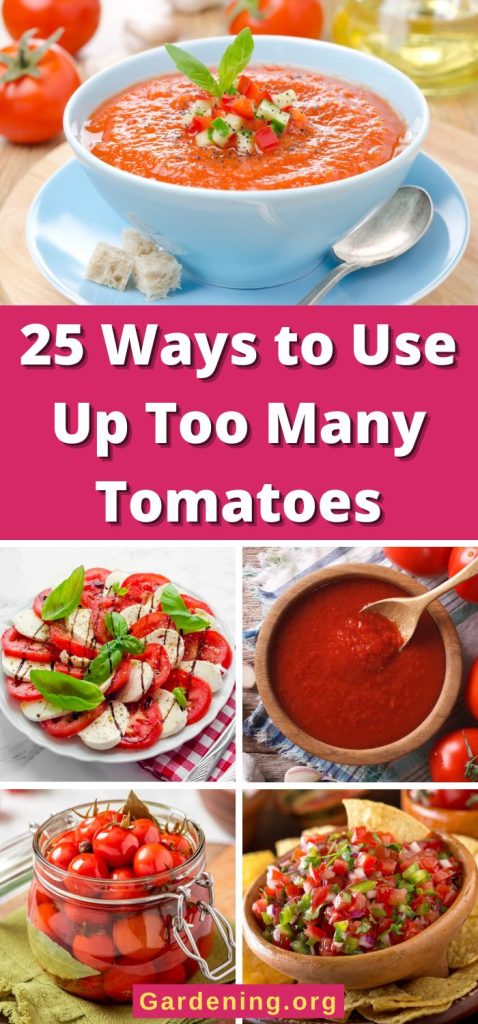 25 Ways to Use Up Too Many Tomatoes pinterest image.