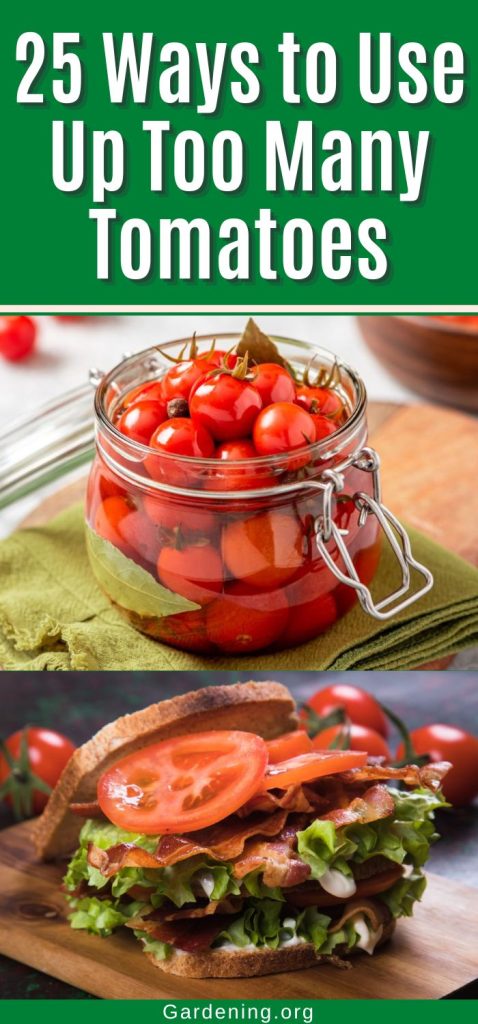 25 Ways to Use Up Too Many Tomatoes pinterest image.