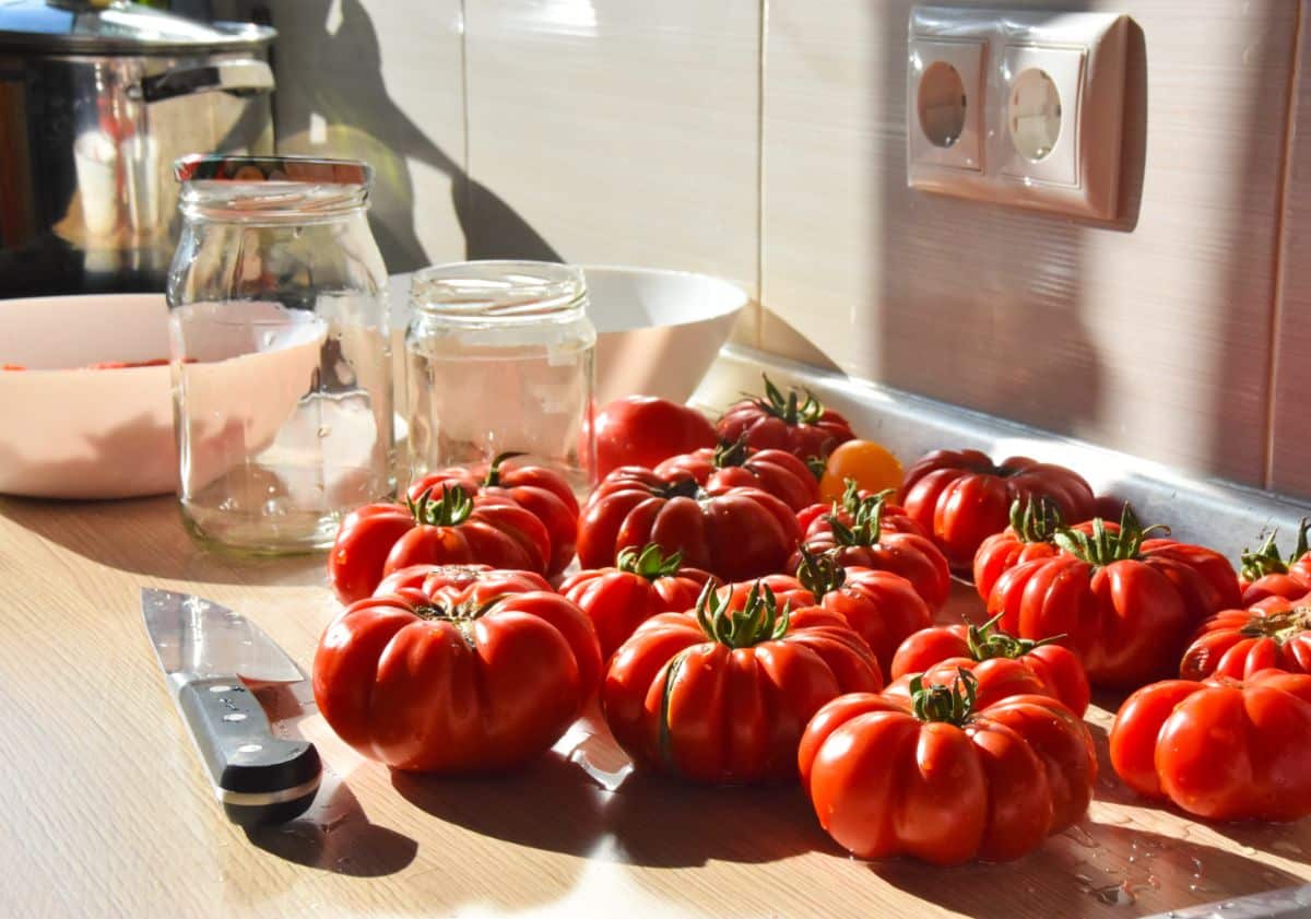 Costoluto Genovese tomato