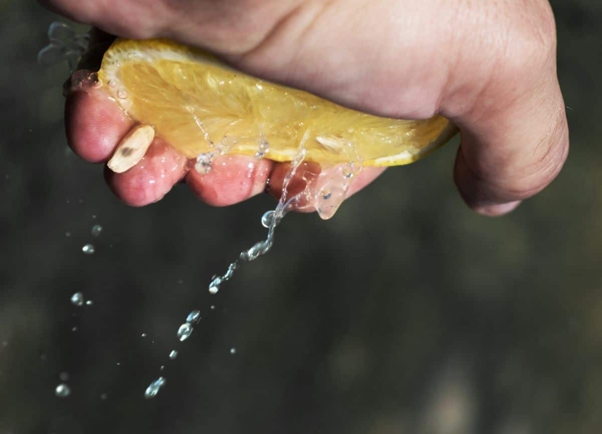 A lemon being squeezed for juice