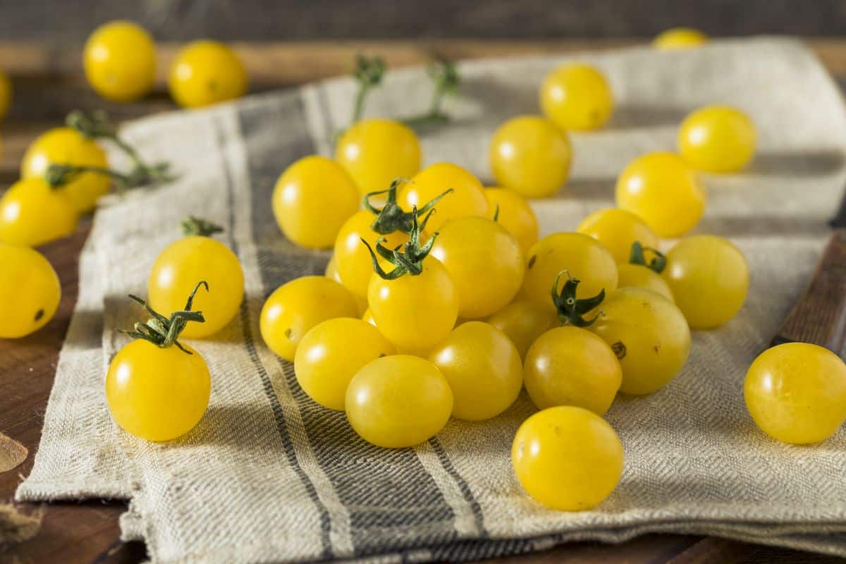 Light yellow Italian ice cherry tomatoes