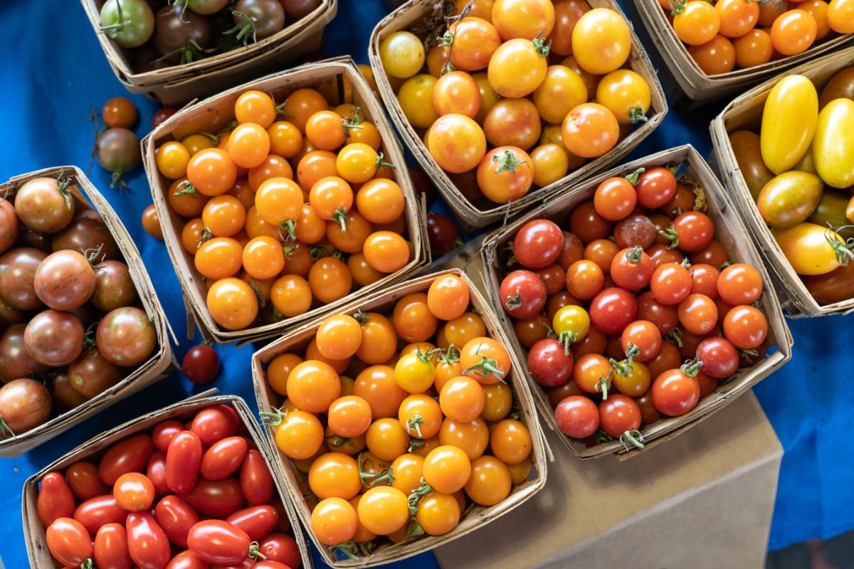 A variety of cherry tomatoes in wooden pint containers