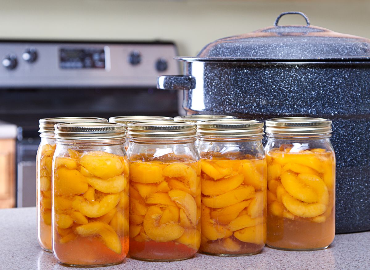 Fresh peaches canned for preserving