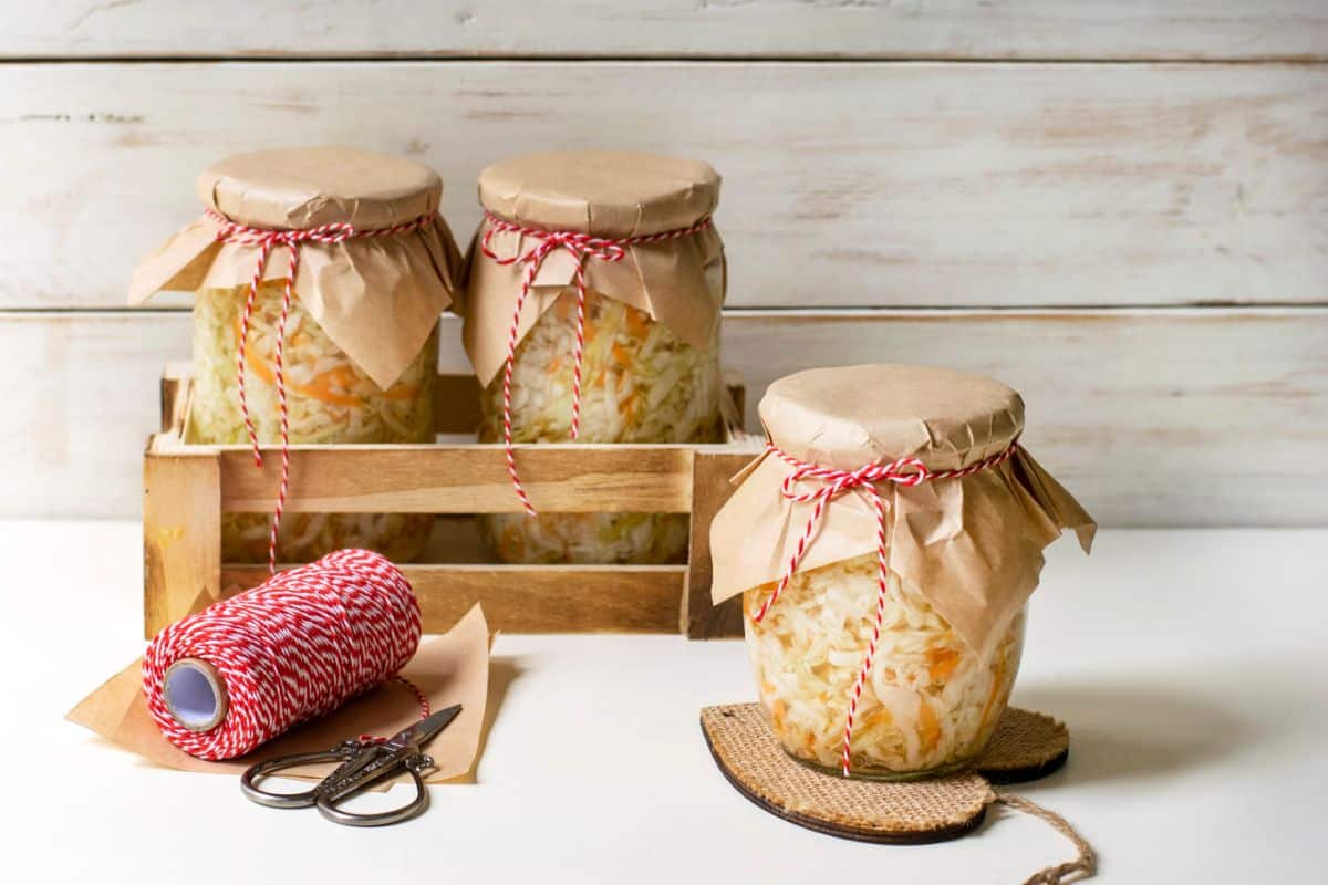 Paper-topped jars of sauerkraut
