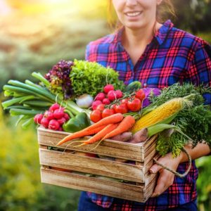 A woman holds a crate full of freshly harvested vegetables.