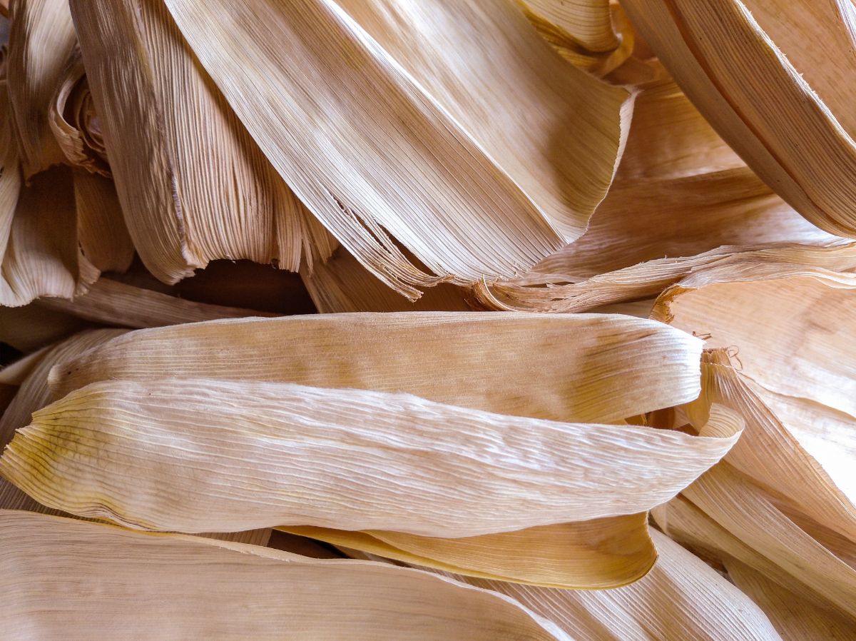 Corn husks dried for basket making