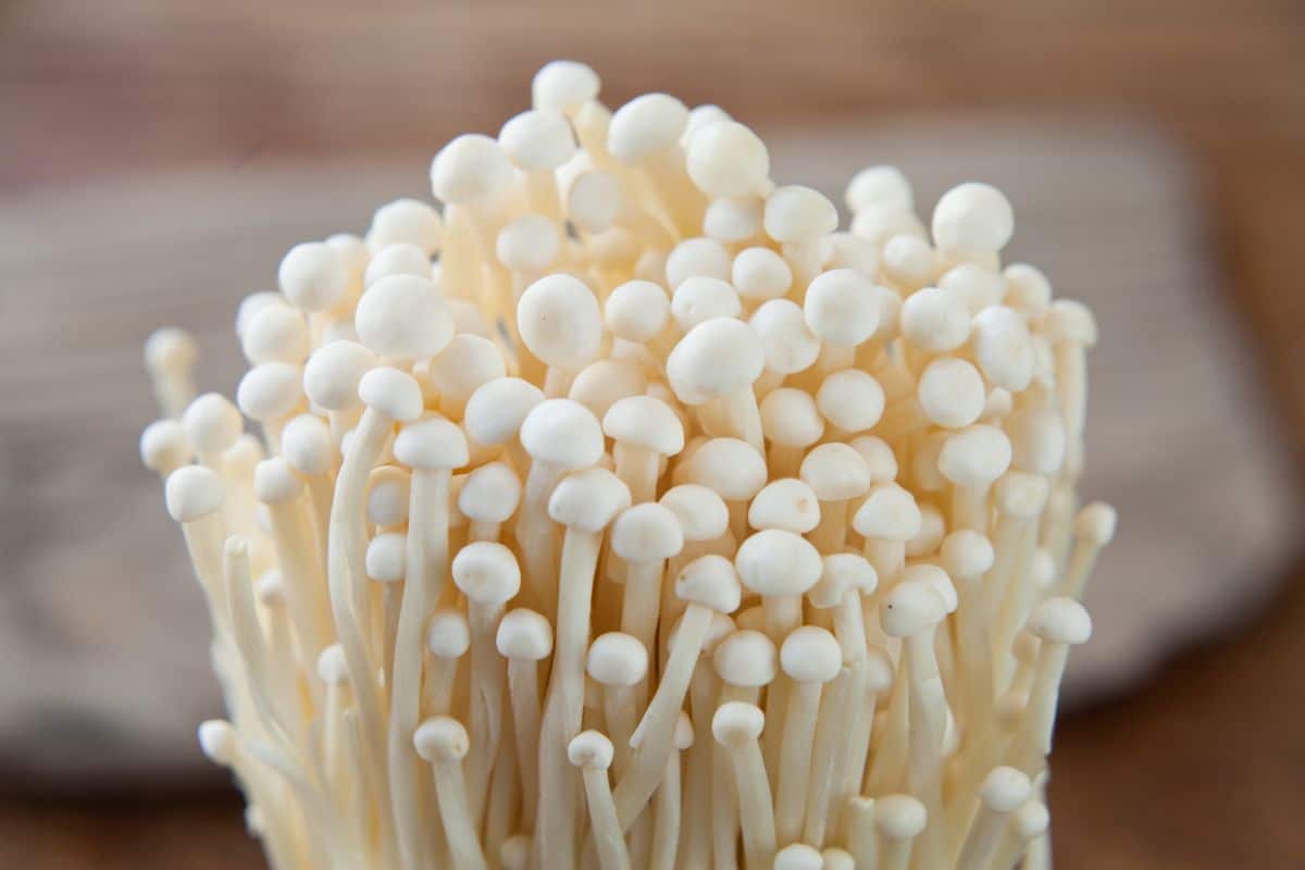 Straw-like Enoki mushrooms