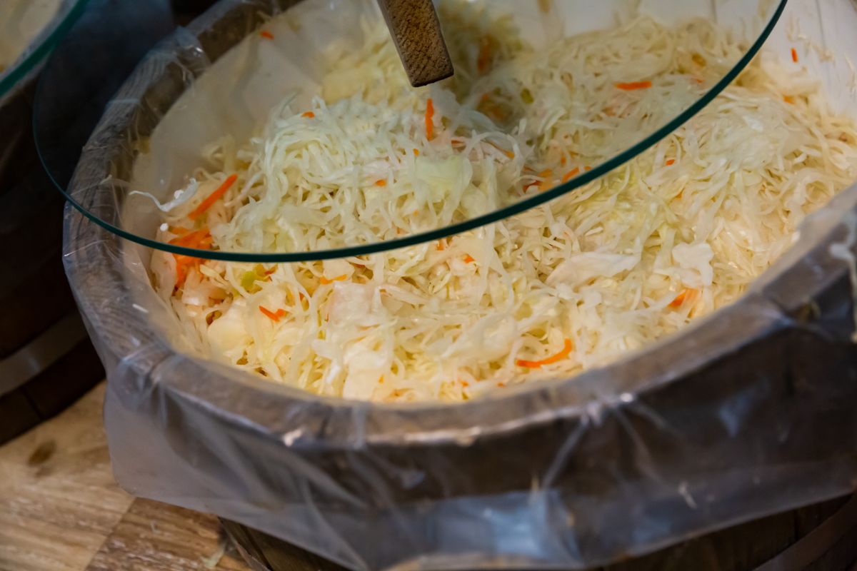 Cabbage being weighted to keep it under fermentation brine