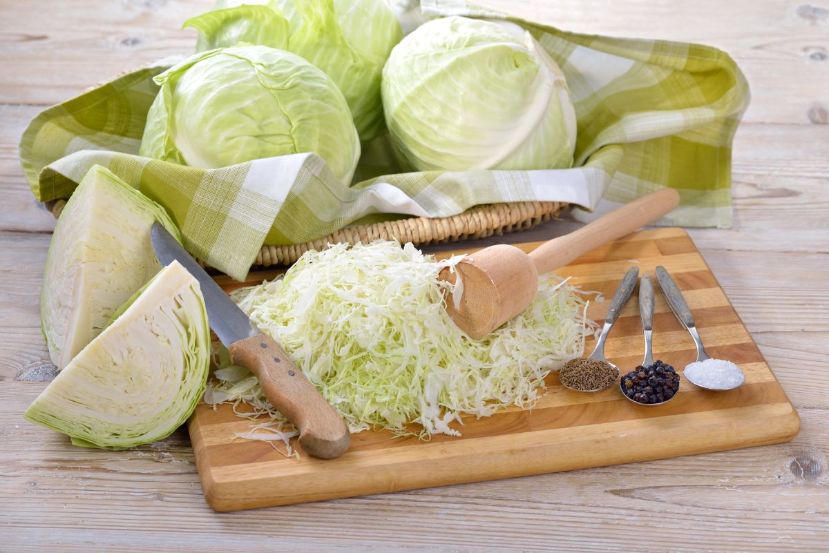 Cabbage being prepared for lacto-fermentation