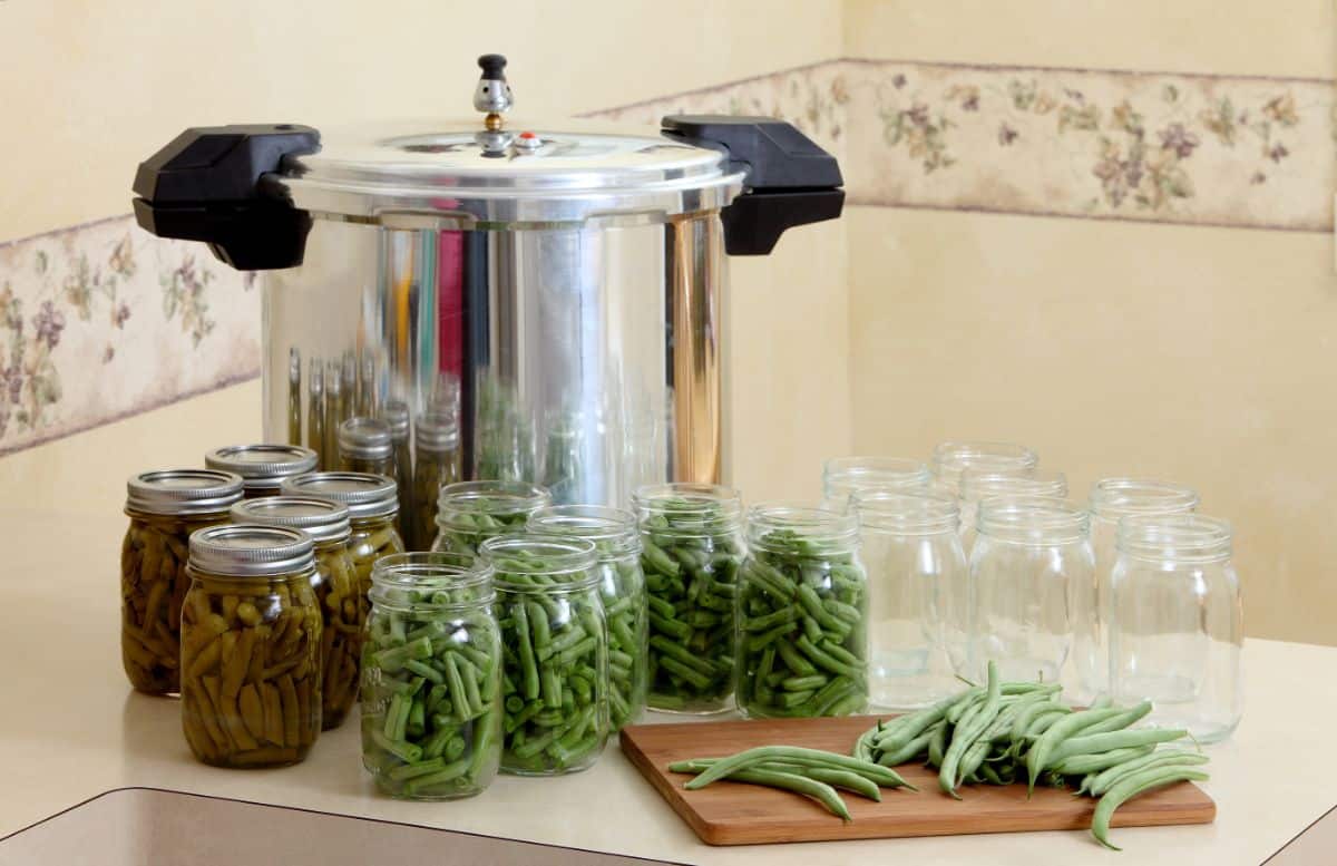 Fresh green beans being canned in a pressure canner