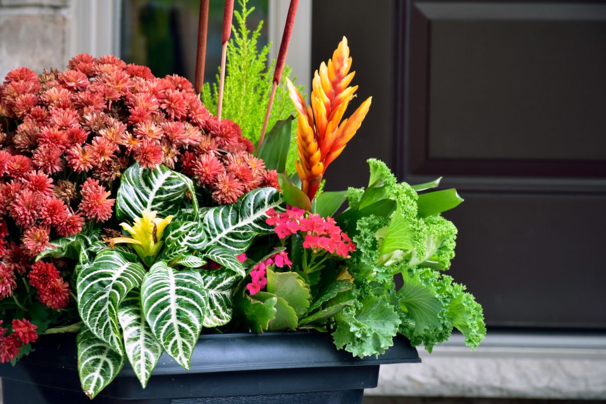 A full, thriving container garden planter