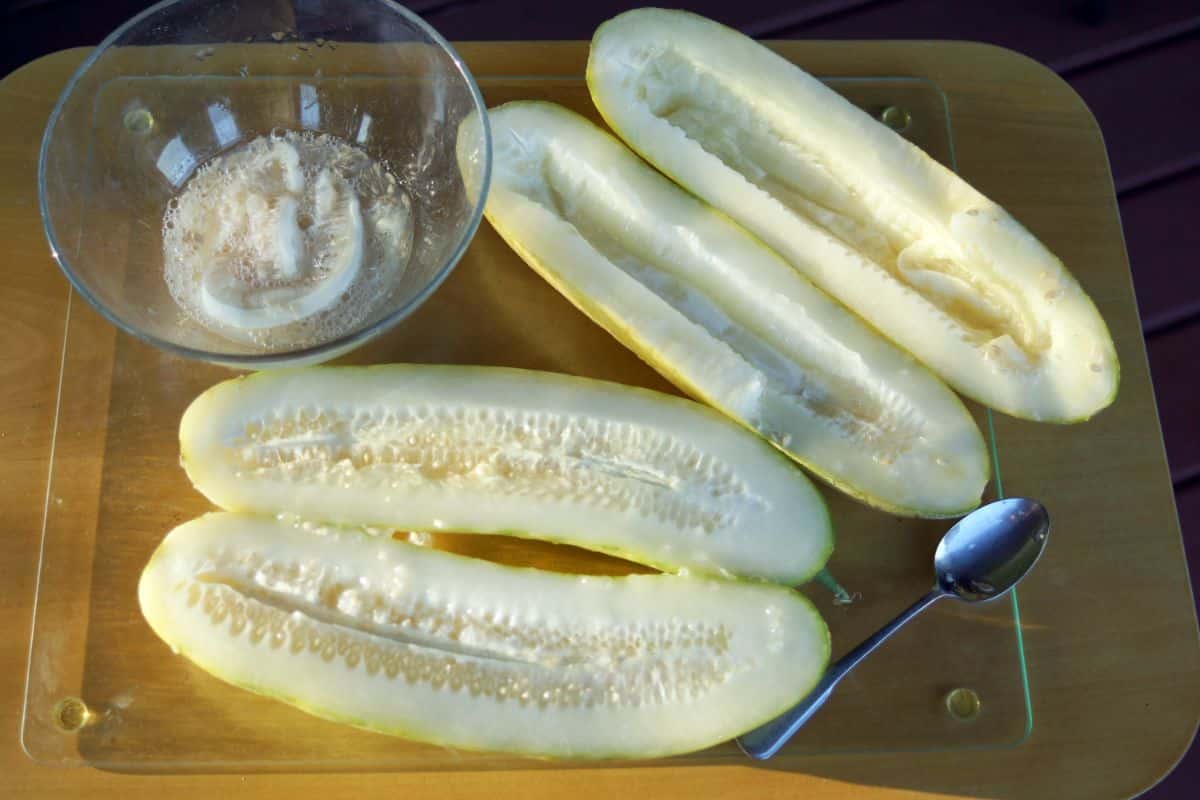 Overripe cucumbers being peeled and deseeded