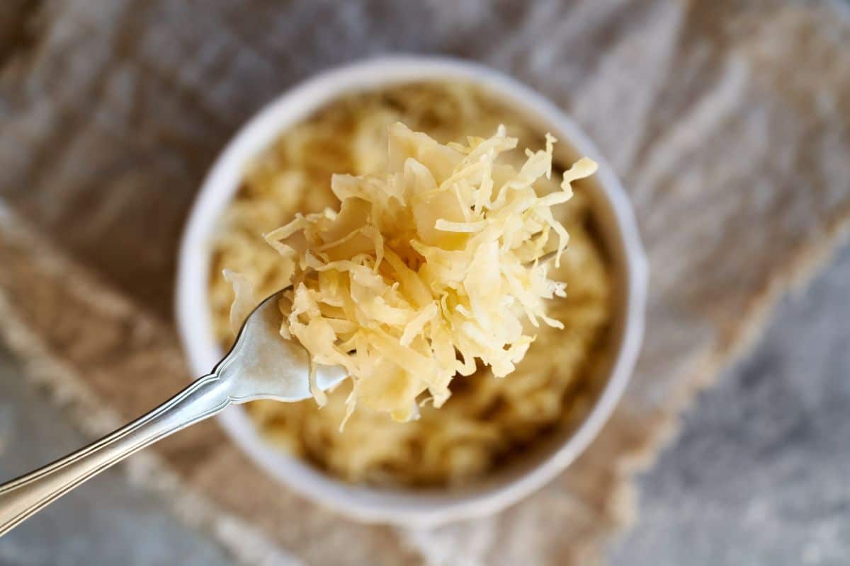 A forkful of homemade sauerkraut