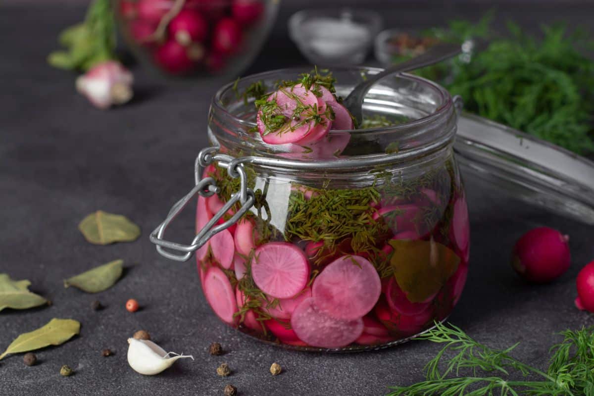 Canned pickled radish slices