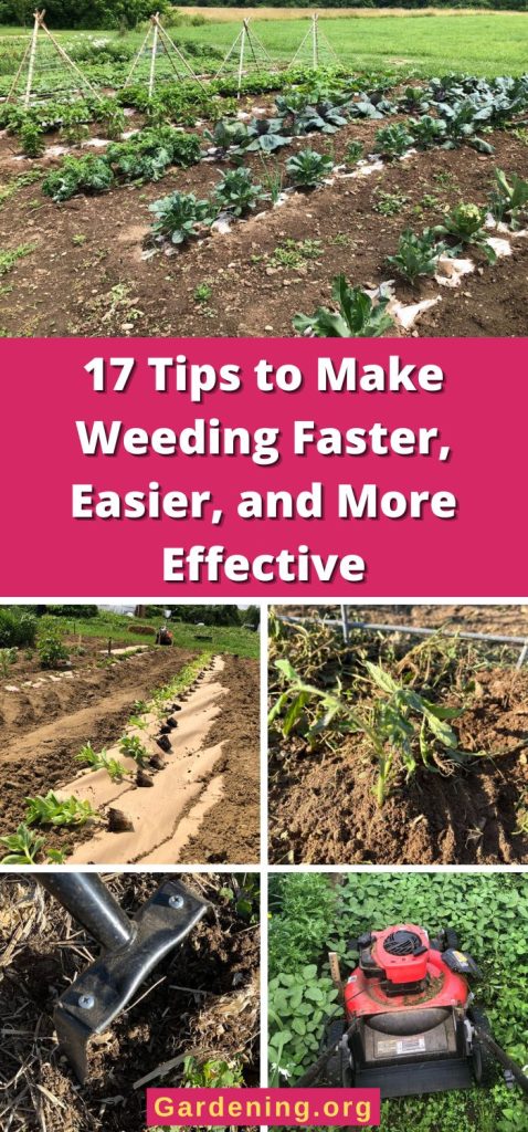 17 Tips to Make Weeding Faster, Easier, and More Effective pinterest image.