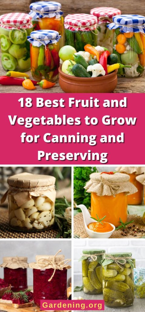 18 Best Fruit and Vegetables to Grow for Canning and Preserving pinterest image.