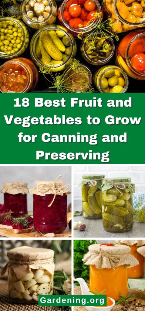18 Best Fruit and Vegetables to Grow for Canning and Preserving pinterest image.