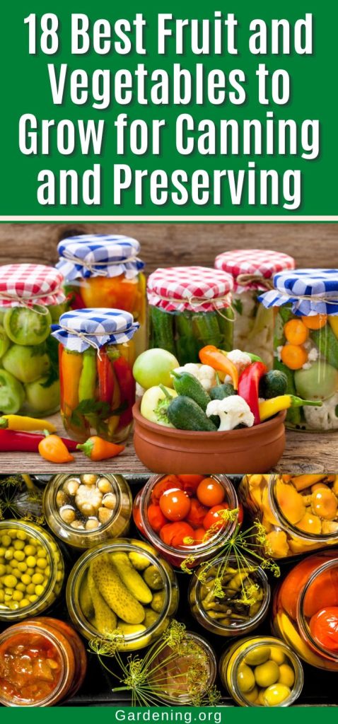 18 Best Fruit and Vegetables to Grow for Canning and Preserving pinterest image.
